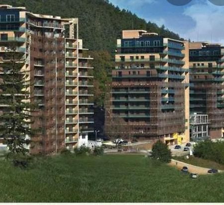 Tampa Gardens Apartment Брашов Екстер'єр фото