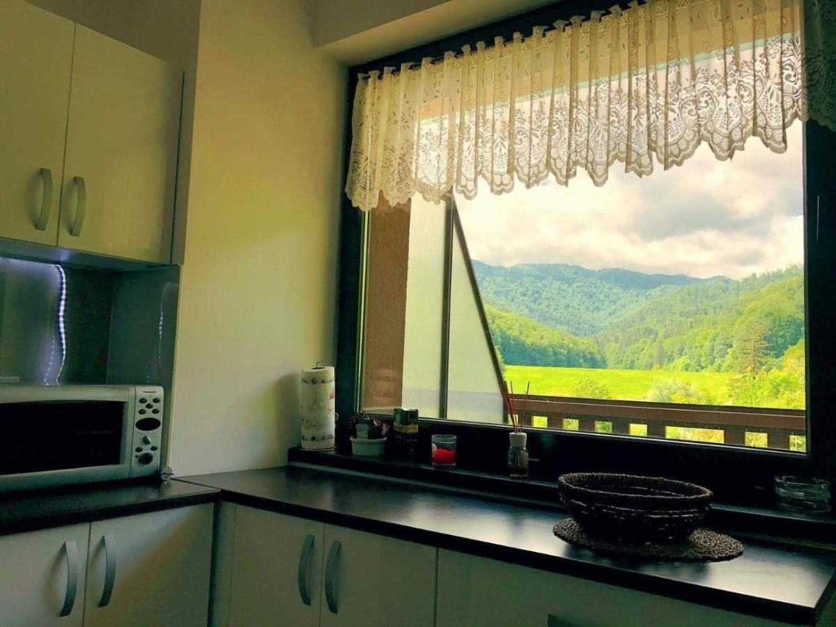 Tampa Gardens Apartment Брашов Екстер'єр фото