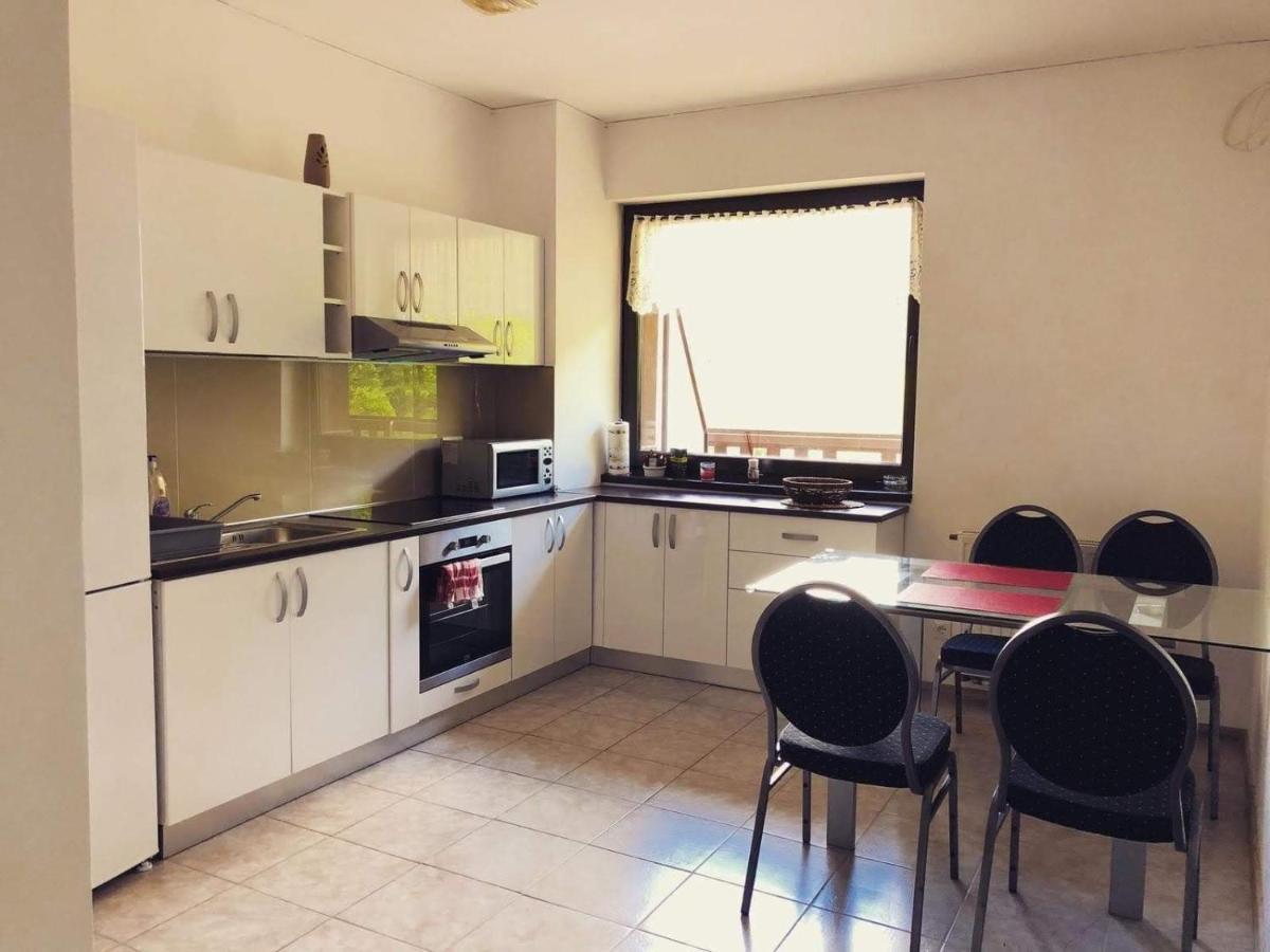 Tampa Gardens Apartment Брашов Екстер'єр фото