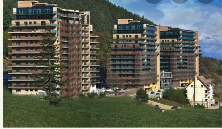 Tampa Gardens Apartment Брашов Екстер'єр фото